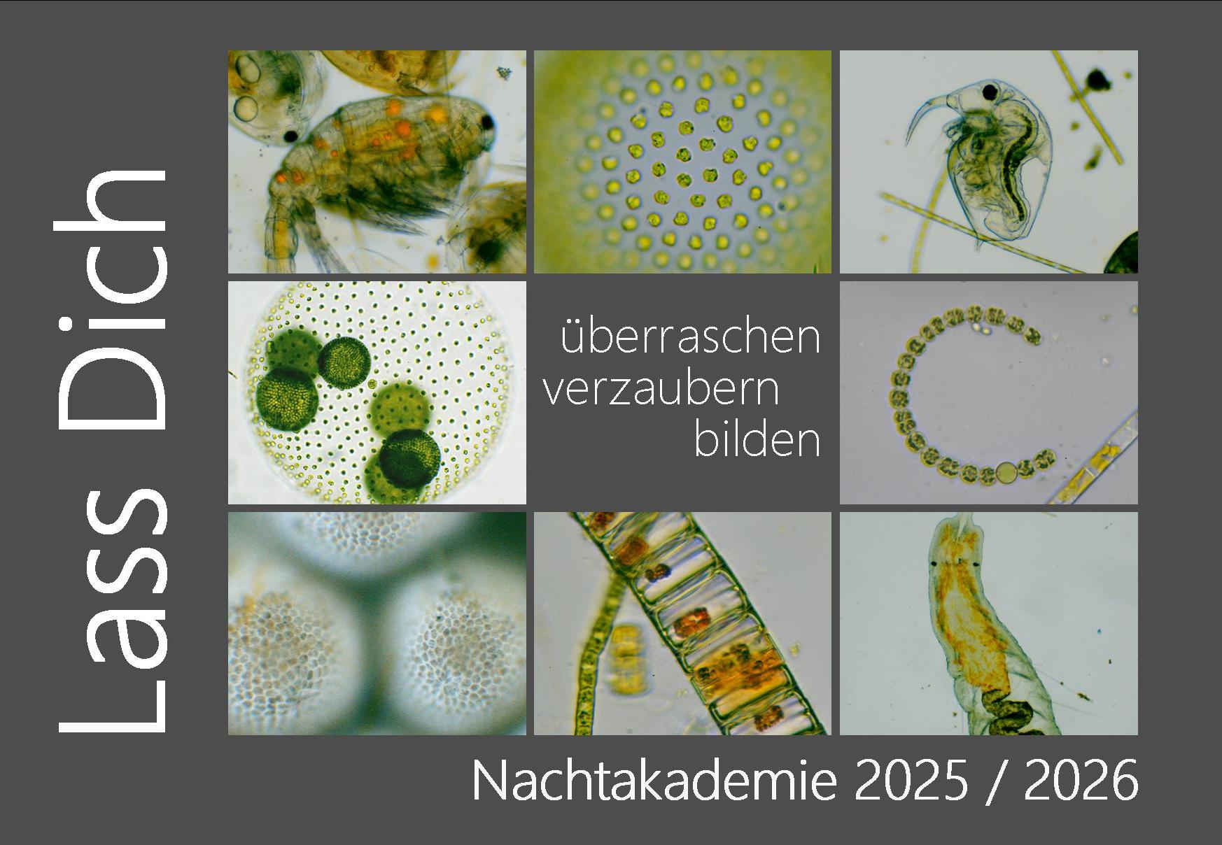 Nachtakademie_Postkarte_Vorderseite_rev6_9x13